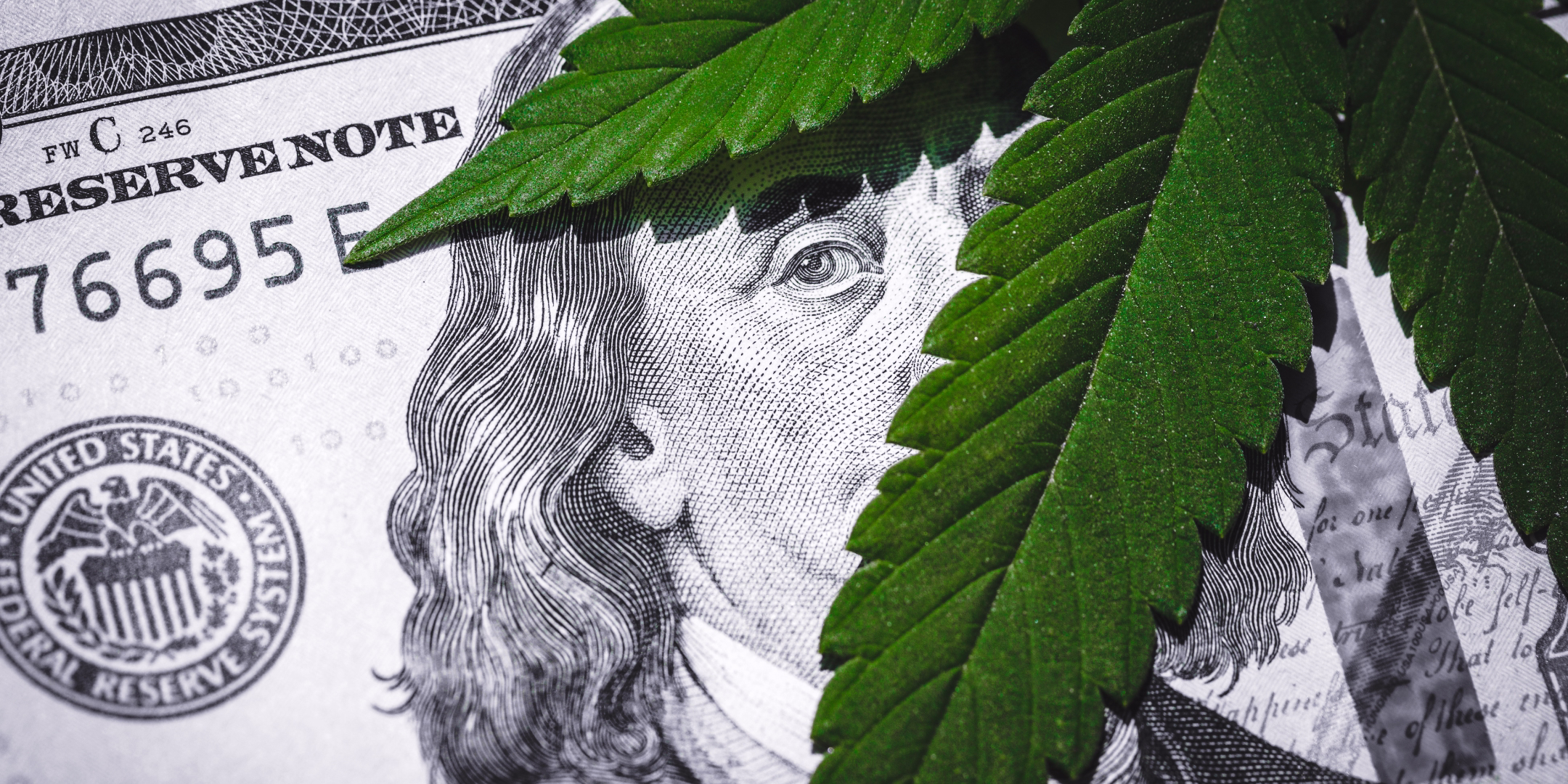 federal hemp ban